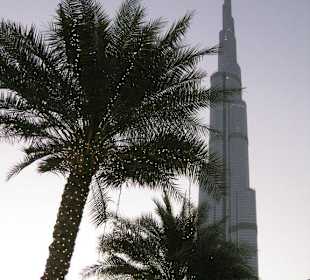 Auf dem Vorplatz mit Palmen