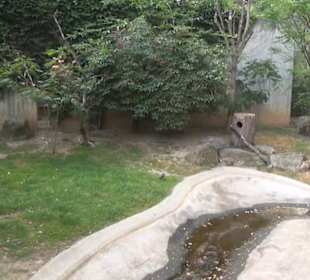 Vogelfreifluggelände