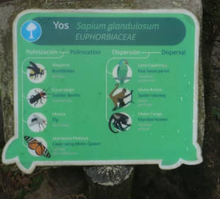 Selbsterklärend