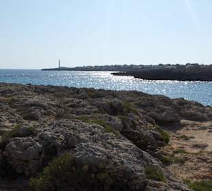 Cala morell