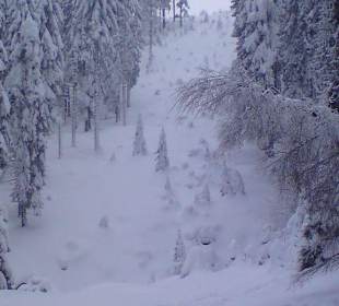 Weg zu Fuß runter vom Brocken