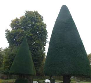 Bummel durch den Hofgarten von Würzburg