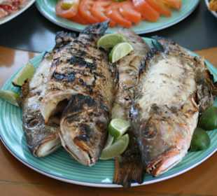 Traumhaftes Essen an Bord der Privatyacht