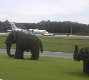 Airport Trat
