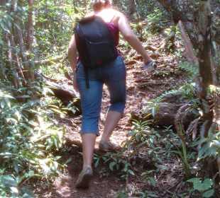 Black River Nationalpark