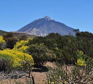 Blick auf den Teide