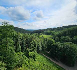 Ausblick von der Burgruine