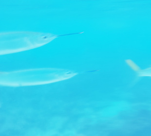 Am Strand vor dem Hotel 