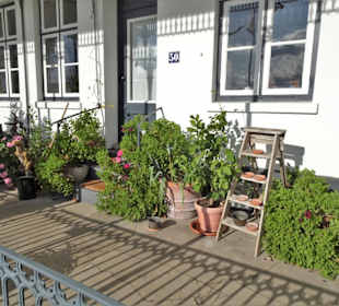 Spaziergang durch Övelgönne