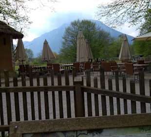 Südamerika Bereich - Litschi Wasserbock