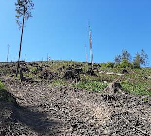 Wandern Clausthal-Zellerfeld