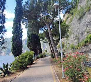 Super schönes Radgebiet