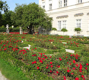 Der Rosengarten vor Schloss Mirabell