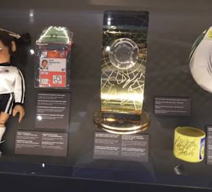 FIFA World Football Museum