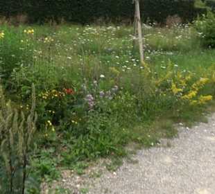 ALB-GOLD Naturgarten