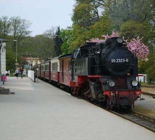 Einfahrt im Bahnhof Bad Doberan