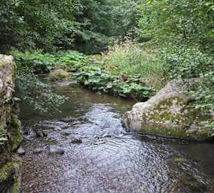 Wanderung durch die Steinachklamm
