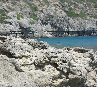 Anthony Quinn Bay 