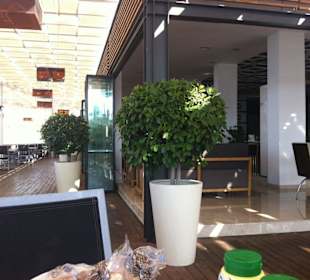 Ezic Chicken Bar/Restaurant