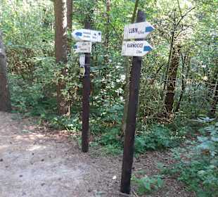 Skrzyżowanie szlaków biegnacych od strony Lubina