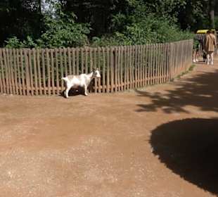 Tierpark Hellabrunn - Afrika