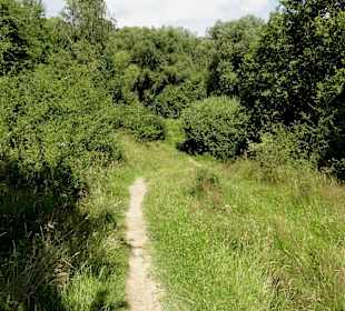 Wege durch die Dönche