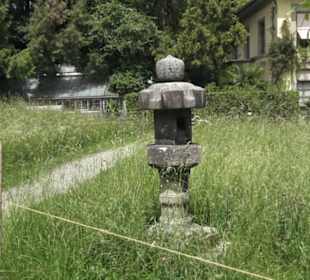 Alter botanischer Garten