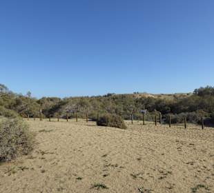 Hier gings durch die Dünen von Maspalomas