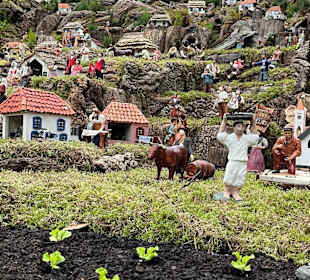 Weihnachten in der Altstadt von Funchal