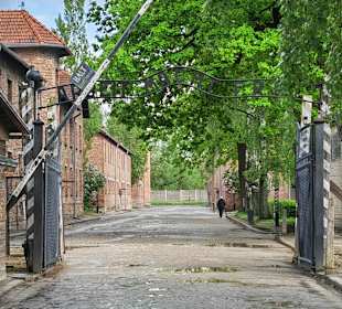 Auschwitz