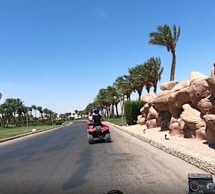 Quad Tour Makadi Bay