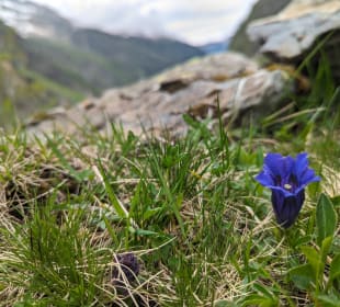Wandern Bramberg am Wildkogel