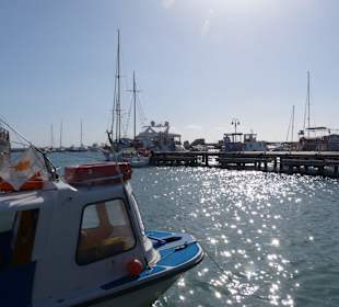 Ausflug zum Hafen in Pafos