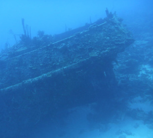 Schiffswrack in 30 m Tiefe