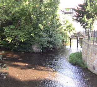 Viel Wasser