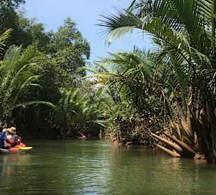 Mangroven Tour