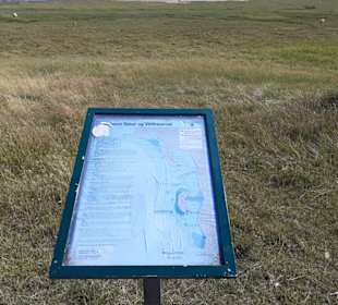 Insel Röm, Rømø, Romo