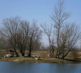 Good spot anytime of the year