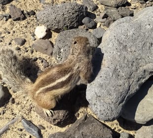 Wandern Playa de Esquinzo