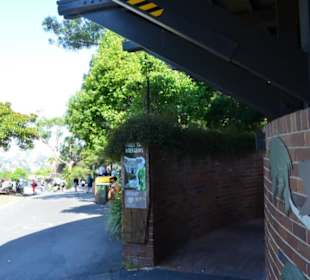 Taronga Zoo