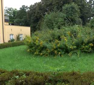 Schloss Rezensried (Ammersee)