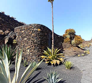 Jardin de Cactus / Kaktusgarten Guatiza