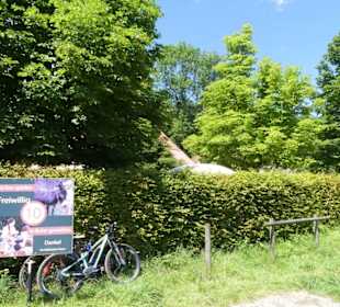 Von Hecken umrahmter Biergarten