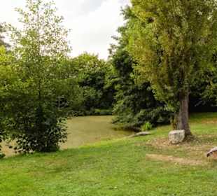 Biber- und Baumpfad Kirchheim am Ries-Benzenzimmer