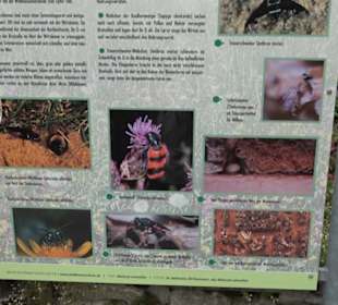 Naturinfopfad Weggental