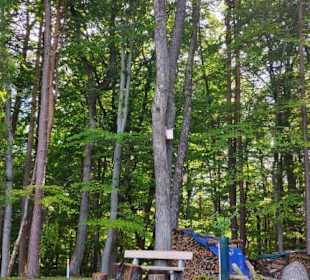 Ein Bankerl auf dem Weg