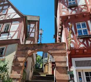 Zugang zur Mildenburg