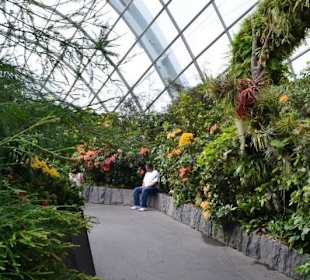 Gardens by the Bay
