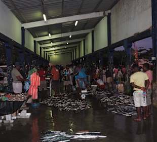 Der Fischmarkt in Beruwala. 