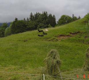 Markus Wasmeier Bauerhofmuseum